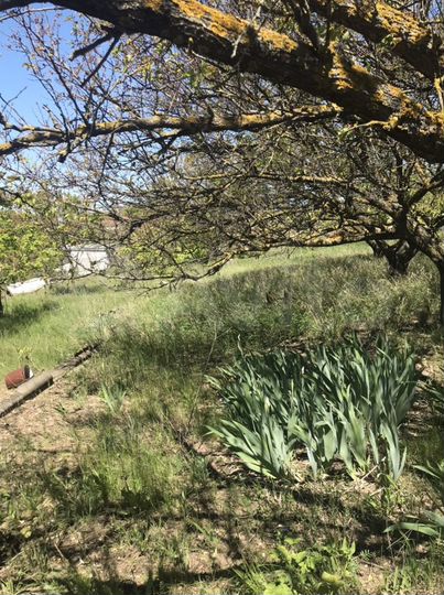 Участок 5 сот. (СНТ, ДНП)