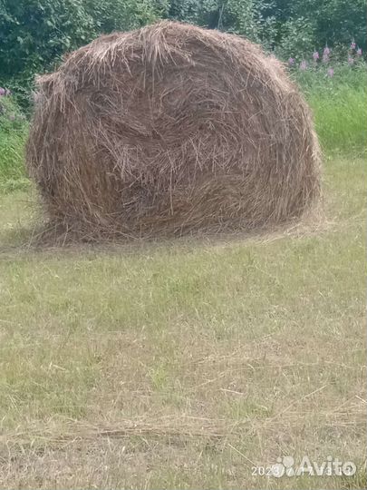 Сено в рулонах