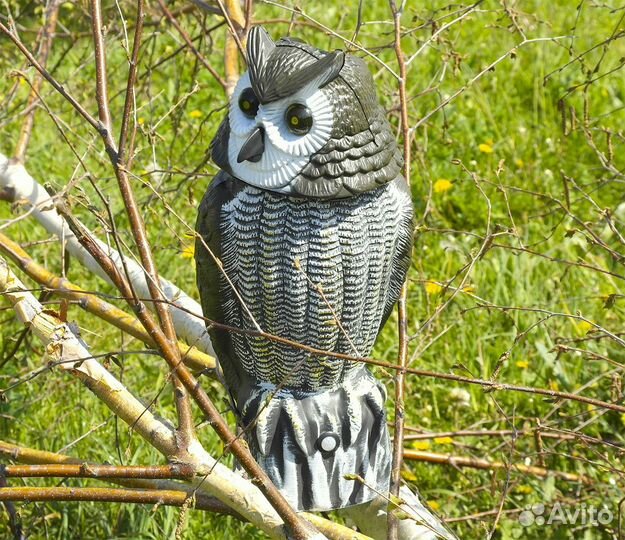 Визуальный и звуковой отпугиватель птиц Сова-М