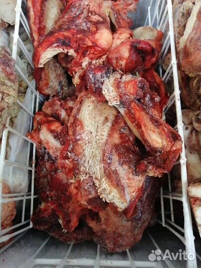 Мясо для собак