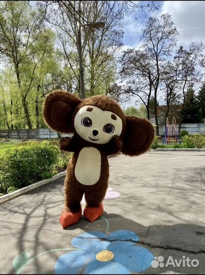 Аниматоры, Чебурашка, праздники