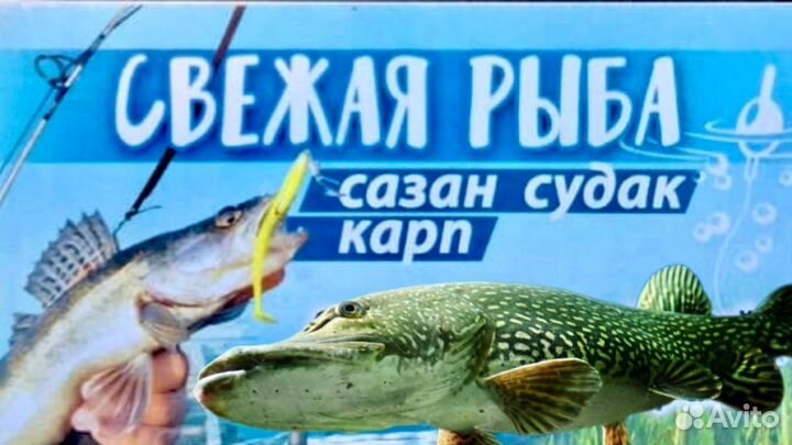 Рыба С/М Речная