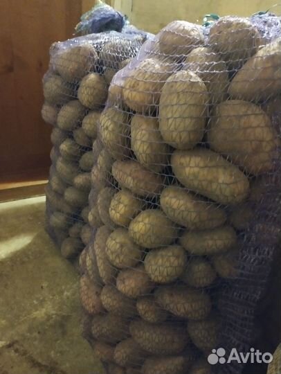 Продам картофель