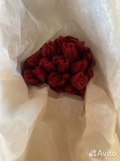 Тюльпаны опт и розница