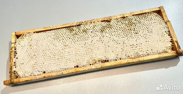 Сотовый мёд