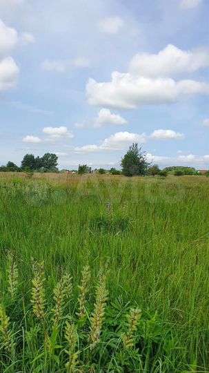 Участок 3,16 га (СНТ, ДНП)