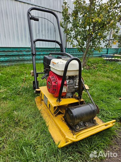 Аренда виброплиты