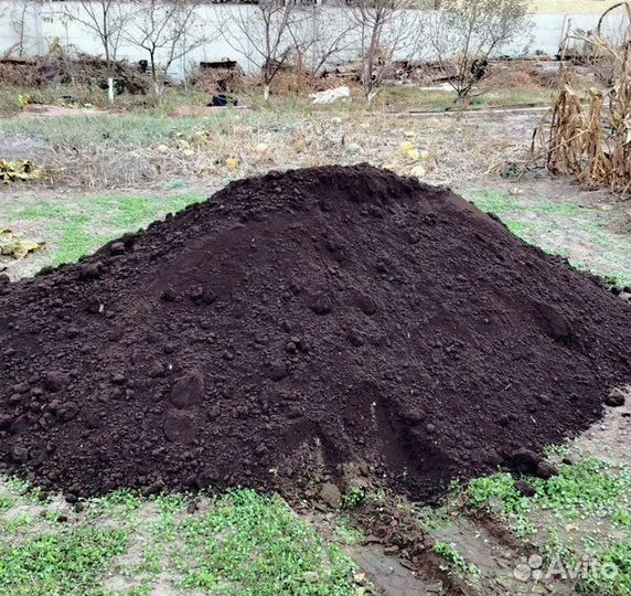 Чернозём