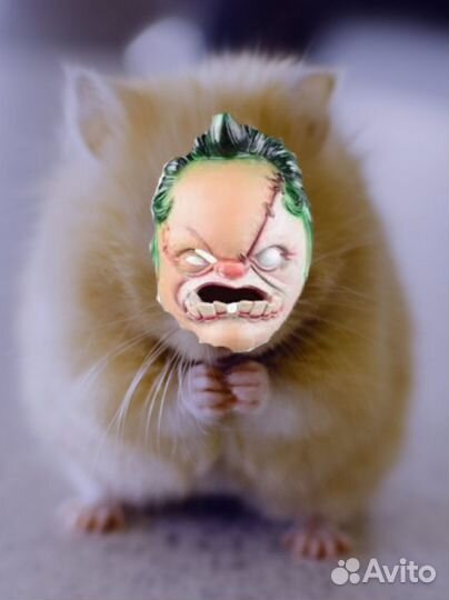 Сделаю на заказ любой сервер в discорд