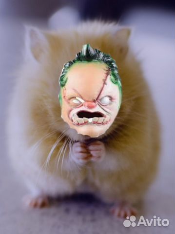 Сделаю на заказ любой сервер в discорд