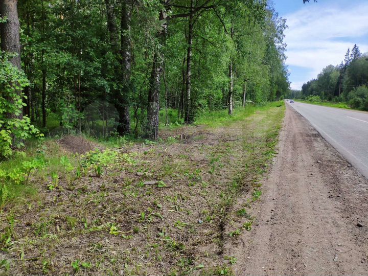 Участок 2,4 га (СНТ, ДНП)