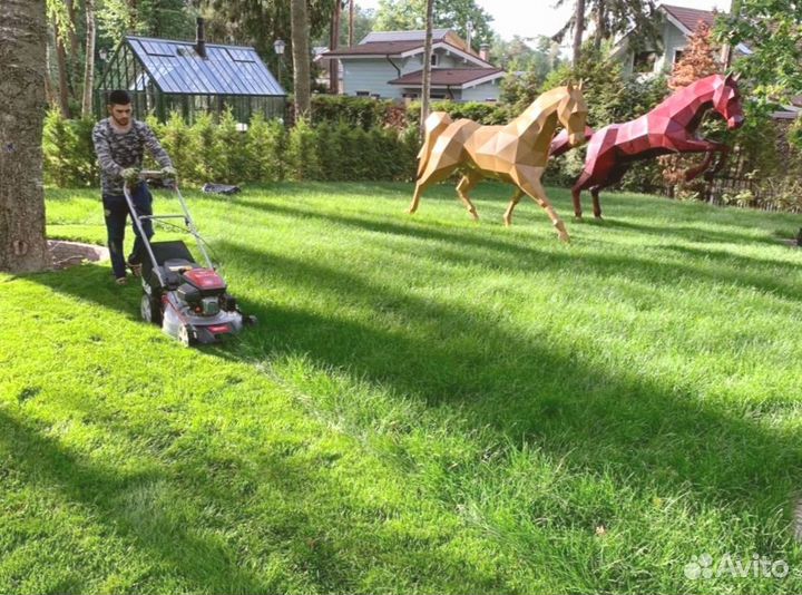 Рулонный газон