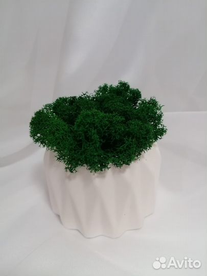 Букет из сухоцветов в кашпо