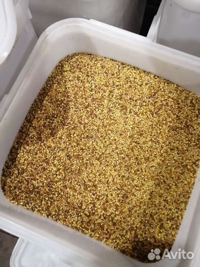 Пыльца пчелиная 2023