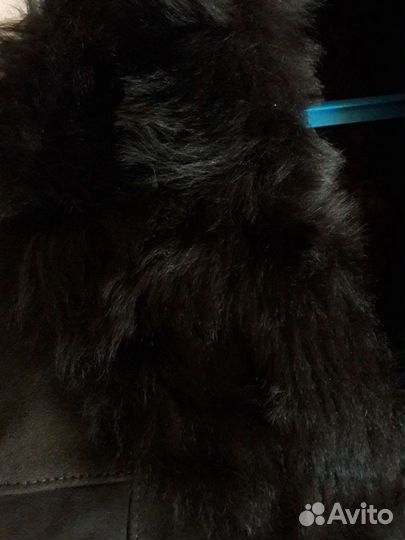 Дубленка (новая)