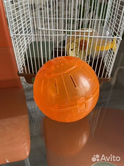 Продам клетку для хомяка с шаром