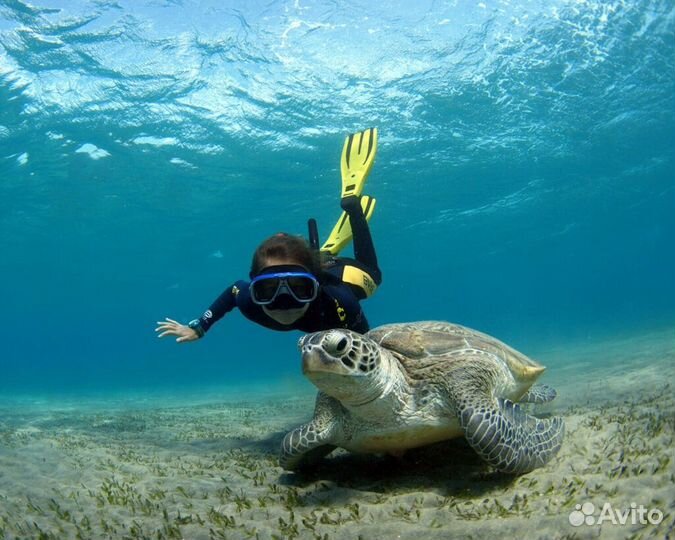 Туры в Египет из Спб - 14 июля на 12 дней из Спб