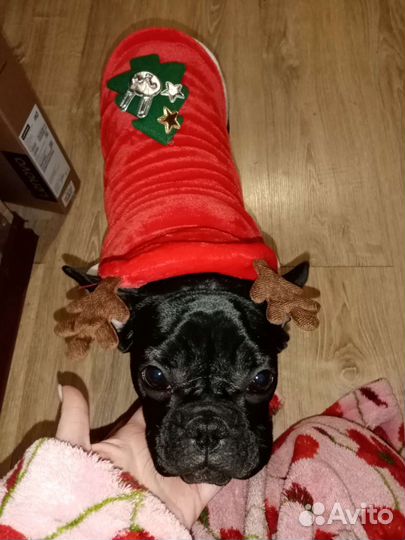 Шубка для собачек