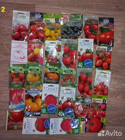 Рассада помидор томатов на любой вкус