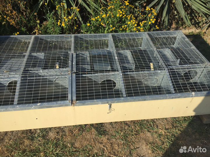 Клетки и кормушки для кроликов