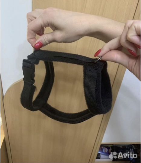 Амуниция, ошейники для собак на заказ