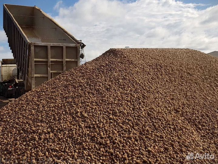 Керамзит щебень песок с доставкой