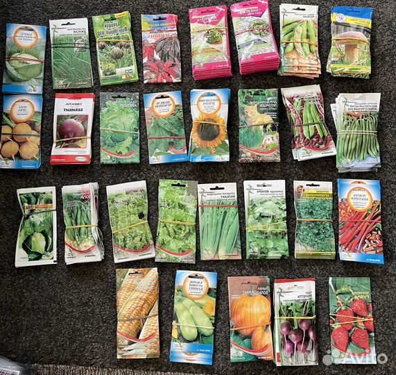 Хорошие семена оптом