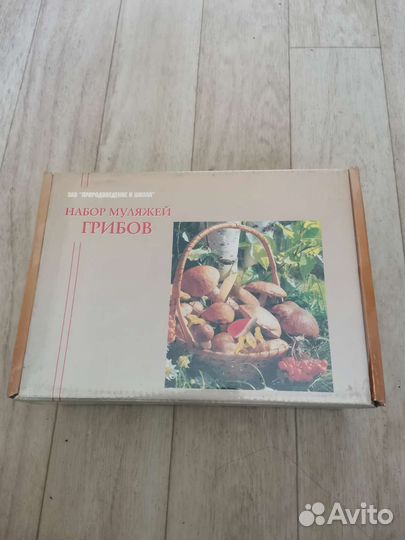 Набор муляжей для рисования