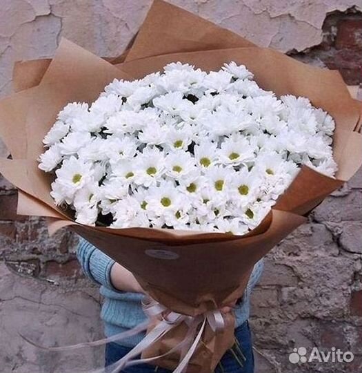 Хризантема