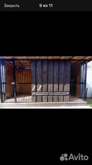 Вольер для собак