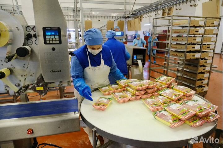 Вахта Разнорабочий 15/25/35 Работа с проживанием