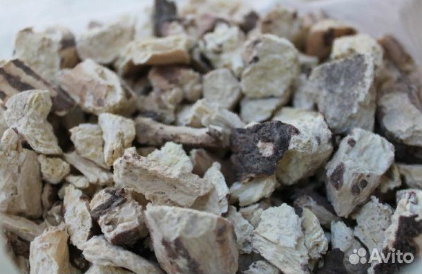 Мыльный корень (дробленый) 1 кг