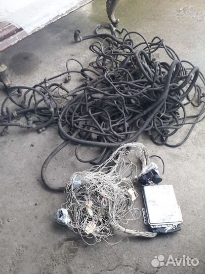 Эбу мозги ман командор 260лс