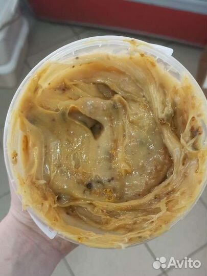 Дикий Мёд (Бортевой) 2022