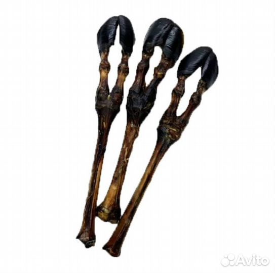 Лакомства для собак