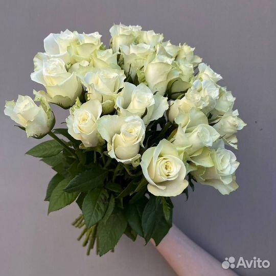 25 роз. Розы 40 см. Букеты. Доставка. Калининград