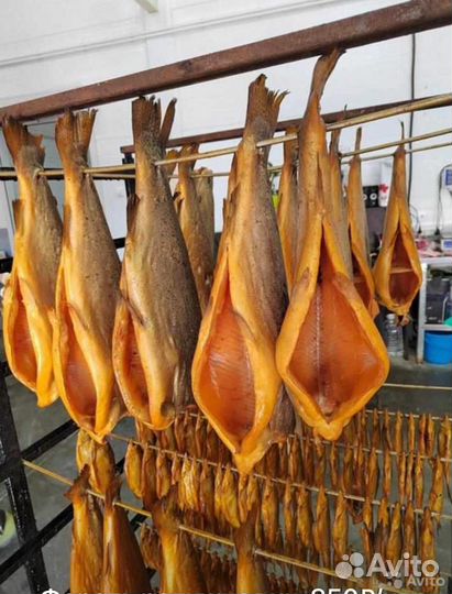 Форель холодного копчения без головы