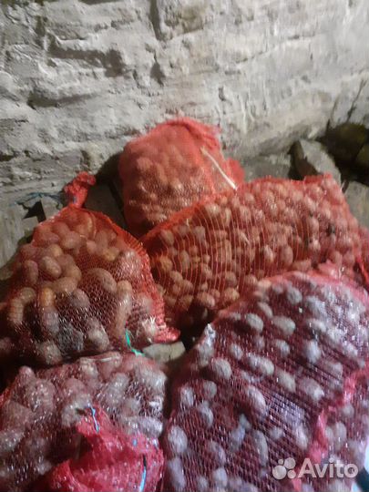 Продукты питания