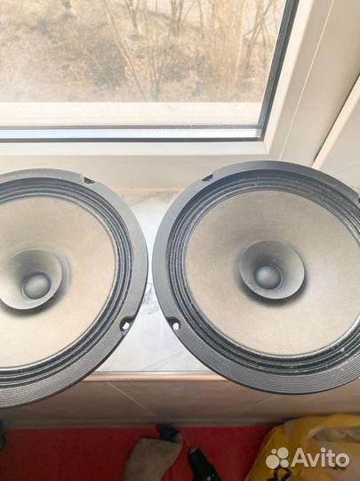 Дидамики широкополосные