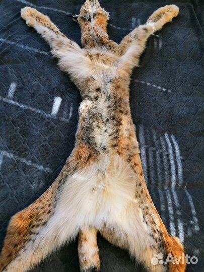 Шкура рыси имитация