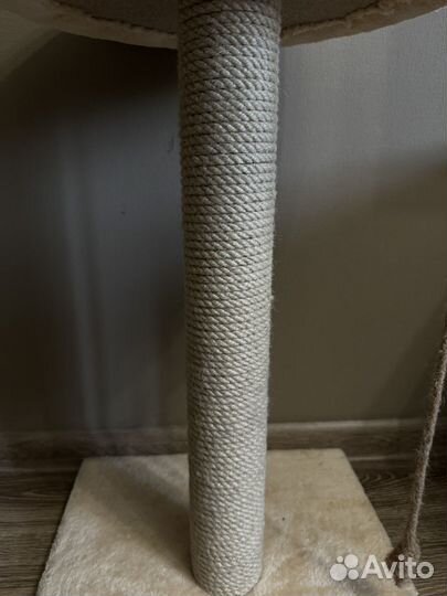 Когтеточка