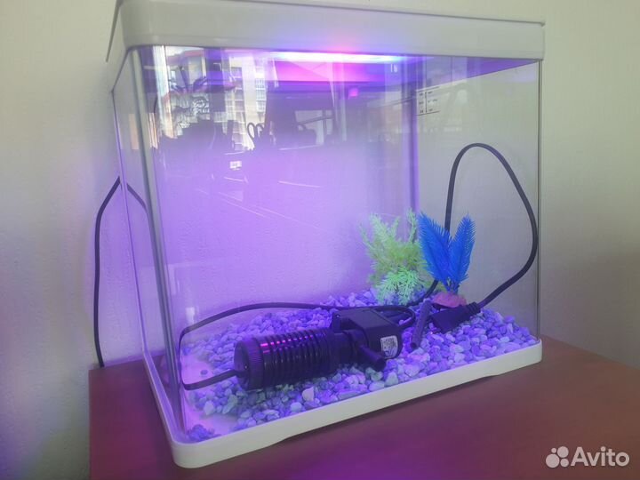 Аквариум