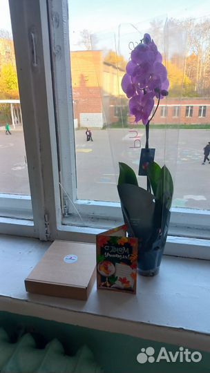 Вещи с 0 до 2-3 месяцев