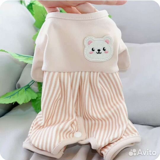 Одежда для маленькой собаки L