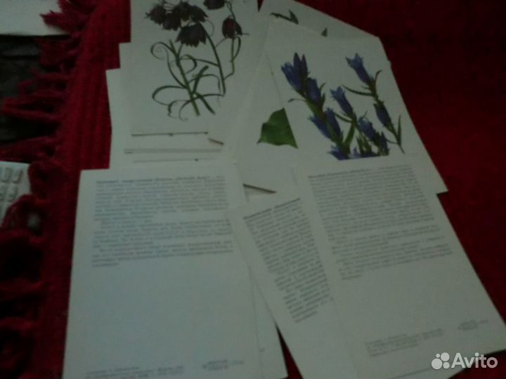 Набор открыток СССР