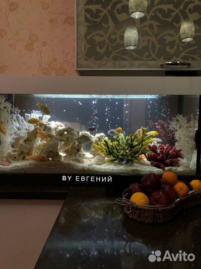 Чистка и обслуживание аквариумов