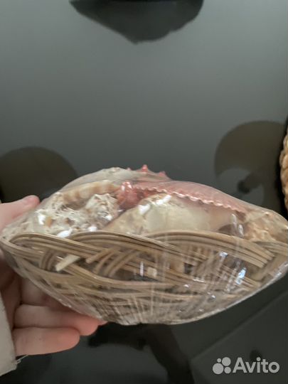 Декоративные ракушки