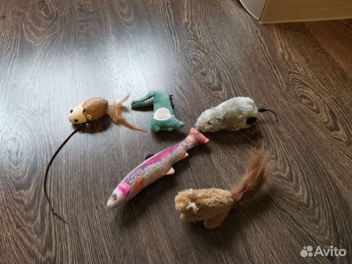 Игрушки, вещи для кошки