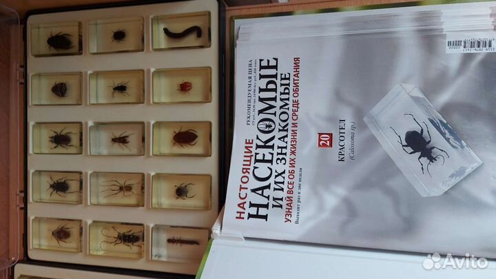Коллекция жуков и насекомых Деагостини