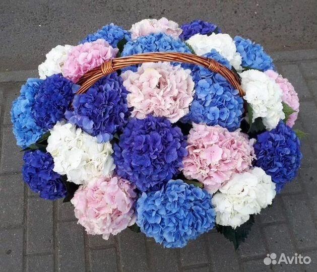 Букет из гортензий 11 21 31 41 51